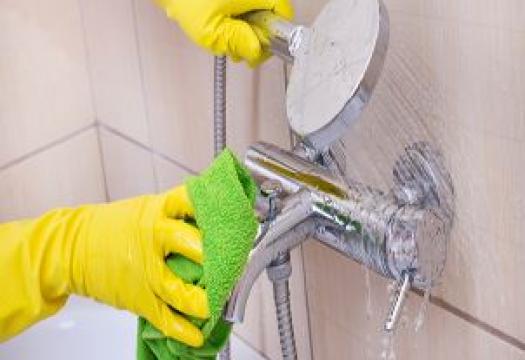 Shower Cleaning Basics