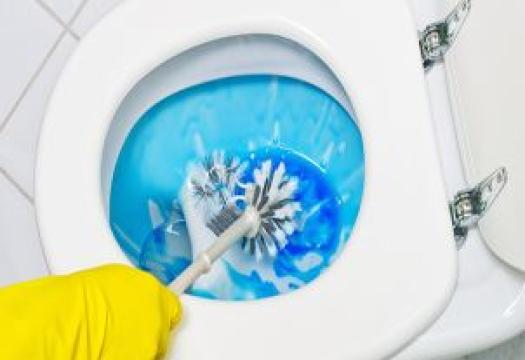 Cleaning a toilet