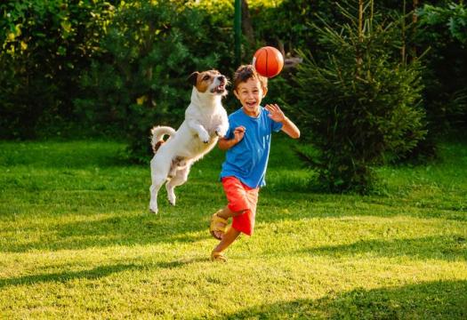 Dog and boy playing in grass.