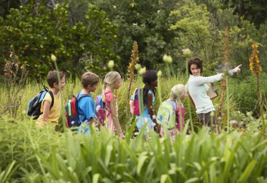 Young teacher with children on nature field trip | Merry Maids