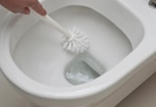 Removing Toilet Bowl Ring