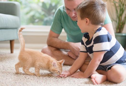 Family with new pet kitten
