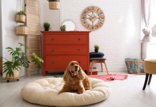 DIY Dog Bed | Merry Maids
