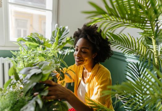 Young African American woman, taking care of her houseplants | Merry Maids