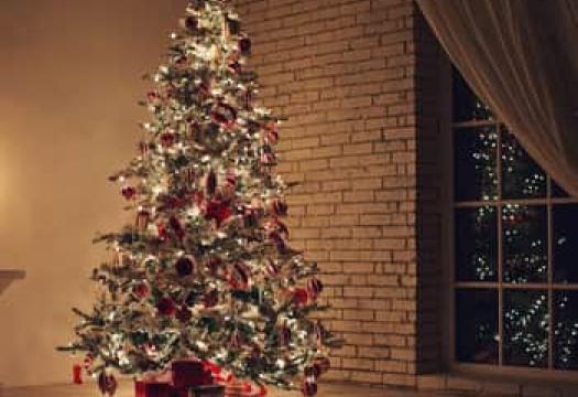 How to take down a Christmas tree