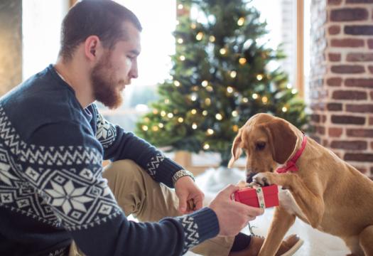 Young man playing on floor with his dog. Giving him gift box. | Merry Maids